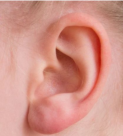 healthy ear