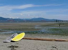 Paddle Boards