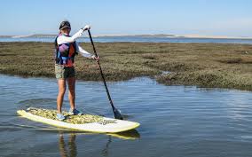 Paddle Boards